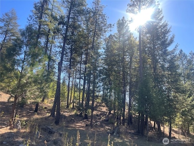 0 High Country Rd W unit NWM2438687, Tonasket, WA 98855 - photo 4