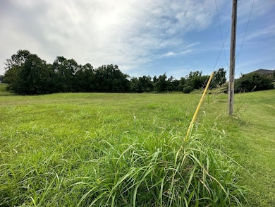 2.89 Ac W Daugherty Rd, Neosho, MO 64850 - photo 4