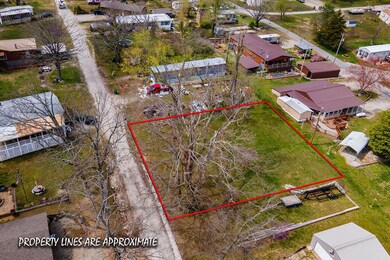 Tbd Cristin Ln, Flat Creek B Township, MO 65656 - photo 7