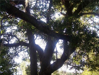 Backyard. LIVE OAK PROVIDES SHADE TO REAR COURTYAR