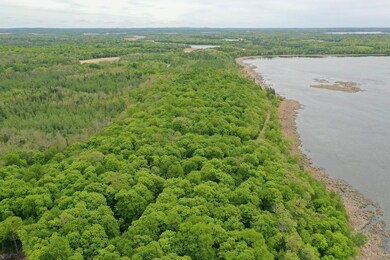 0 Tbd Ne Rock Lake Rd unit 24708708, Rochert, MN 56578 - photo 6