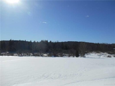 73 Dow Rd, Freedom, NY 14065 - photo 2