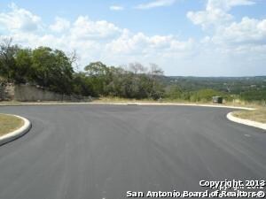 23906 Carina Canyon, San Antonio, TX 78255 - photo 4