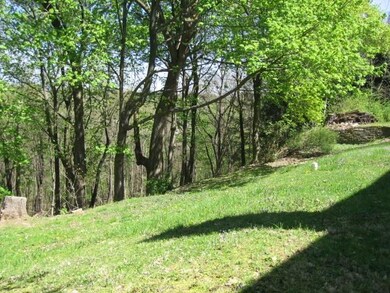 The back of the lot has some areas of level land; 