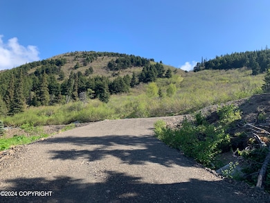 Lot 1 Driveway