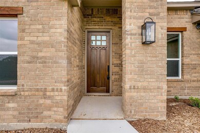 9005 Valley Oak Ct, Springtown, TX 76082 - photo 4