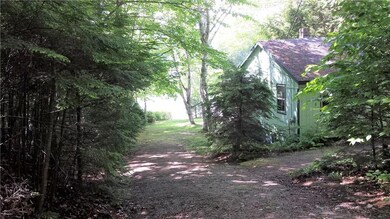 Looking Down Driveway