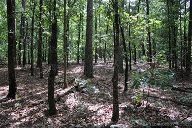 243 S 620 Rd, Jay, OK 74346 - photo 2