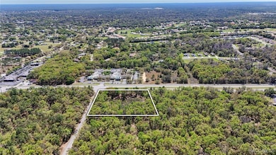 161 W Norvell Bryant Hwy, Hernando, FL 34442 - photo 5