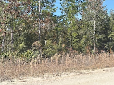 0000 NE 106th Ct, Archer, FL 32618 - photo 2