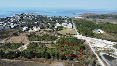 0 E 1 Ave, Horseshoe Beach, FL 32648 - photo 3