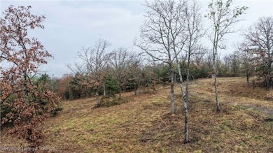 001 Bent Oak Trail, Greenwood, AR 72936 - photo 4