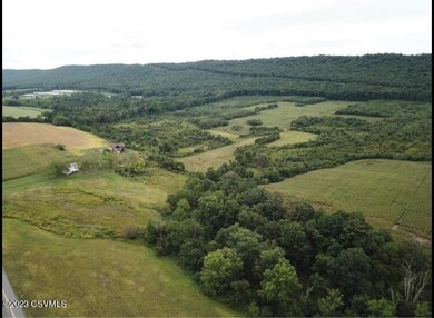 1042 Irish Valley Rd, Paxinos, PA 17860 - photo 7