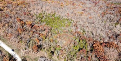 11.8 Acres Whitetail Way, Cole Township, MO 65338 - photo 5