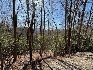 TBD Laurel Ln, Nantahala, NC 28781 - photo 6