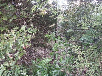 Tract 8 Lakeview Dr, Spiro, OK 74959 - photo 7