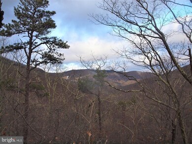 1811 Snowy Mountain Rd, Circleville, WV 26804 - photo 2