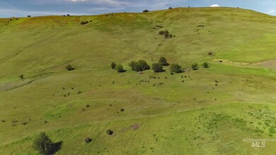 TBD Sunnyside Bench Rd, Lenore, ID 83541 - photo 6