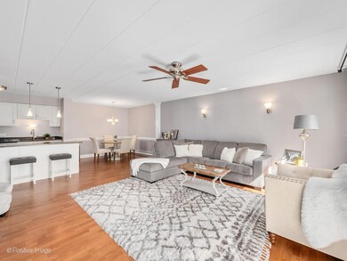 1052 N Mill St unit 206, Naperville, IL 60563 - photo 5