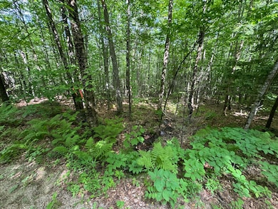 Lots 10&11 Davenport Rd, Hartford, ME 04220 - photo 5