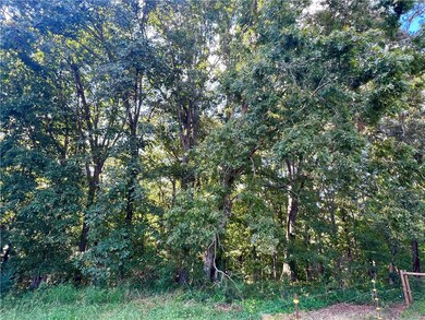 400 Zion School Rd, Easley, SC 29642 - photo 7