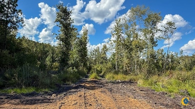 0 Peurifoy Rd unit 25510565, Walterboro, SC 29488 - photo 7