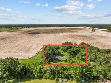 21500 SW 33rd St, Dunnellon, FL 34431 - photo 4