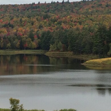 265 River Rd, Rumney, NH 03266 - photo 6