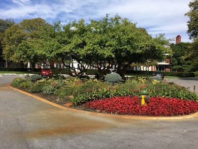 3439 Vollmer Rd unit 103, Flossmoor, IL 60422 - photo 4