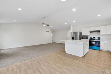 5653 Sun Bear Dr, House Springs, MO 63051 - photo 6