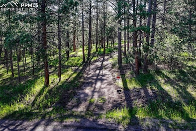 19953 Vista Clara Ln, Monument, CO 80132 - photo 5