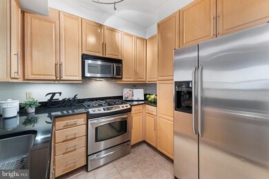 11760 Sunrise Valley Dr unit 903, Reston, VA 20191 - photo 5