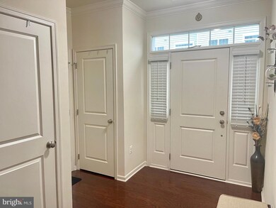 43010 Paris Gap Square, Ashburn, VA 20148 - photo 7