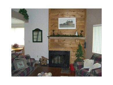 Other. Wood burning fireplace