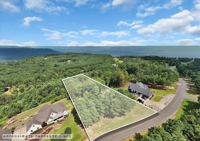 440 Lookout View Dr, Jasper, TN 37347 - photo 2