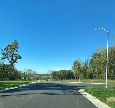 Lot 31 the Estates of Enniskerry, Nixa, MO 65714 - photo 6