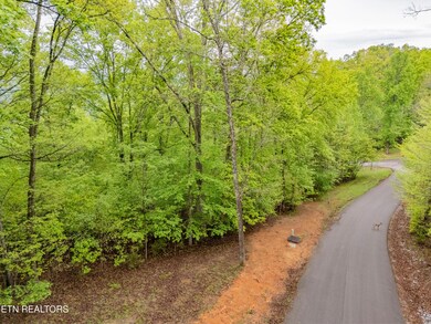 DJI_20250424093546_0450_D-HDR