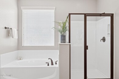 Primary Walk-in shower and soaking tub.