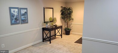 4700 Coyle Rd unit 301, Owings Mills, MD 21117 - photo 7