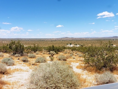 0 Cottonwood Rd unit JT19121135, Joshua Tree, CA 92252 - photo 2