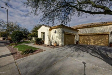 Mesquite Grove1 (5)