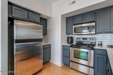 10605 Meeting St unit 403, Prospect, KY 40059 - photo 4