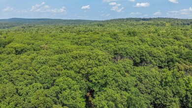 0 Albany Turnpike unit 202125262, Chatham, NY 12136 - photo 6