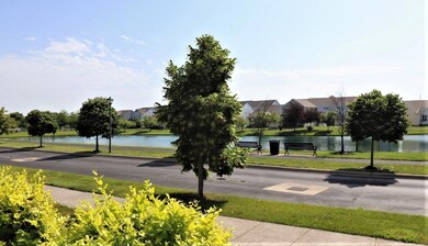 The view across the street