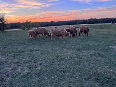 4081 Fm 2736 unit B, Campbell, TX 75422 - photo 5