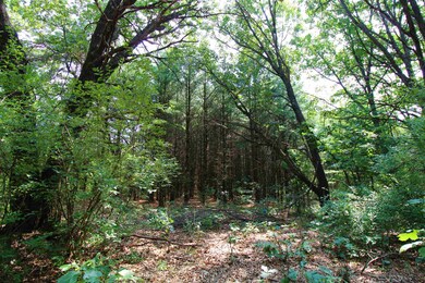 10 Acres 3rd, Coloma, WI 54930 - photo 3