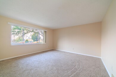 4120 Windsor Dr, Farmington, NM 87402 - photo 5