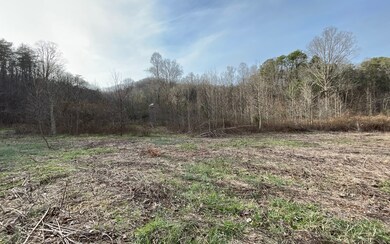 Additional View