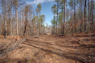 0 John Kay Rd unit 7517782, Taylorsville, GA 30178 - photo 4