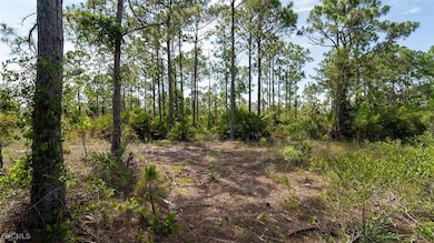 2409 62nd Ave NE, Rural Estates, FL 34120 - photo 7